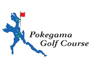 Course Logo